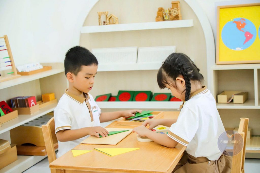 Mầm Non Hành Trình Piaget