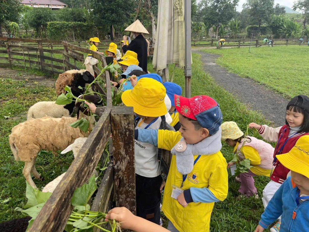 Mầm non Victoria Kinderworld